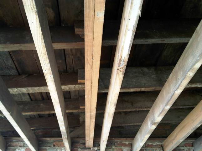 IMG00157-20120303-1133